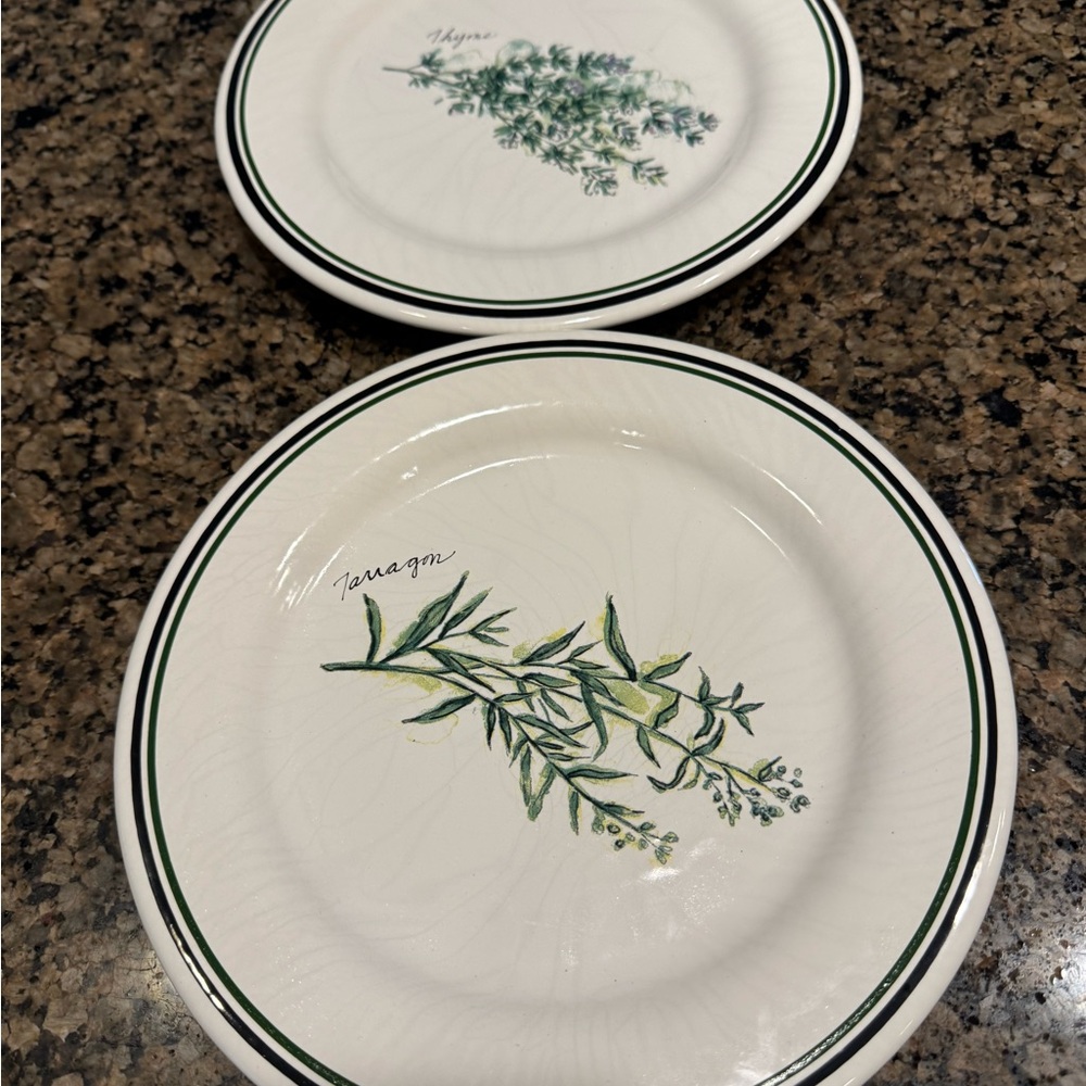 Williams Sonoma Plates 8.5 Inches Made in Portugal
